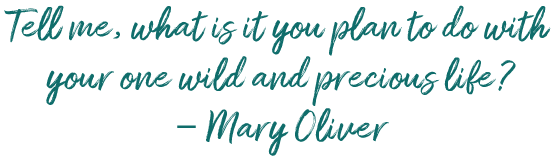 Mary Oliver quote